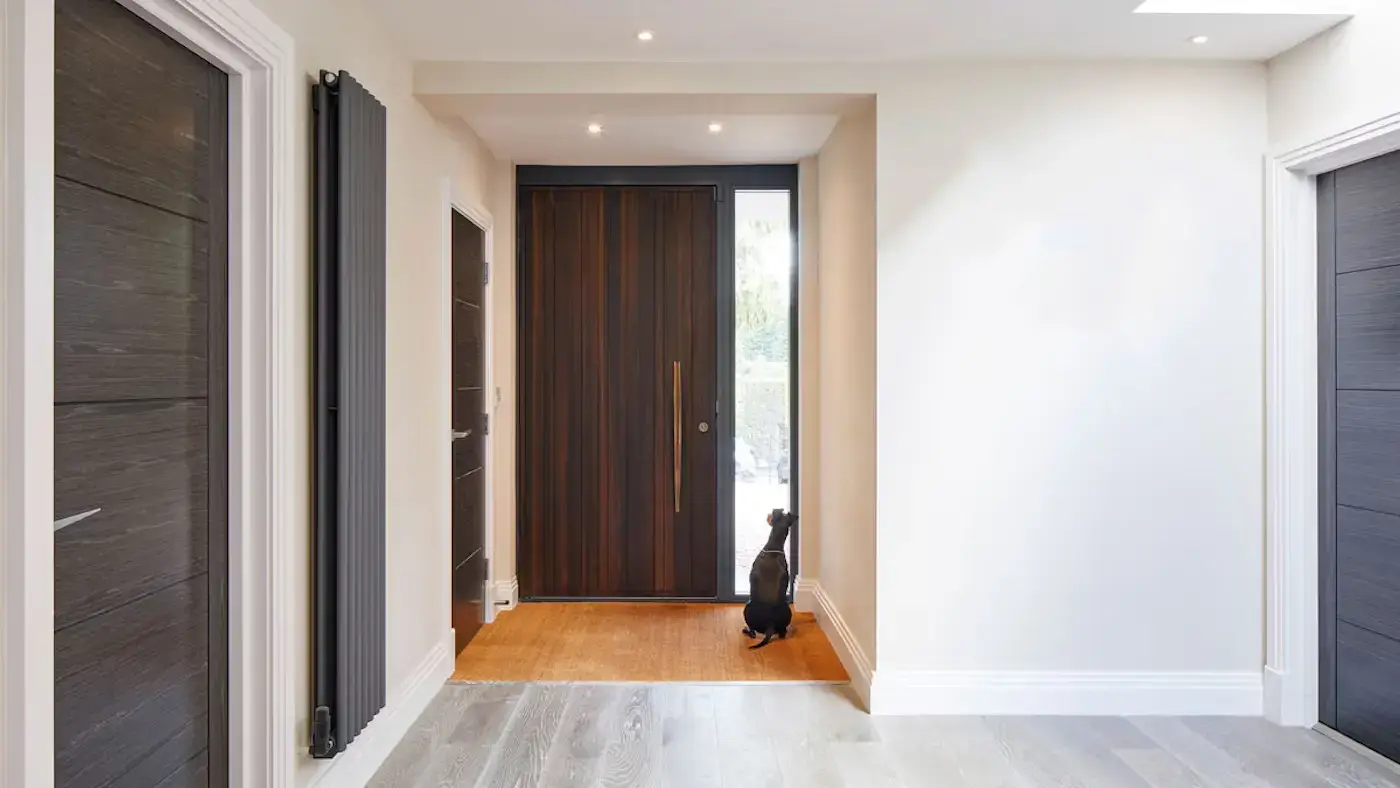 modern doors