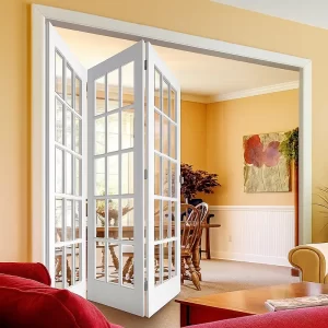Folding Door in Living Rooms