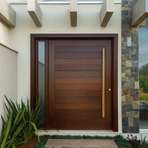 Modern Doors in Homes